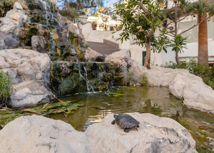 Szálloda Catalonia Punta Del Rey 4*