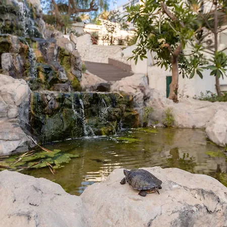 ホテル カタロニア プンタ デル レイ 4*