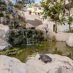 Ξενοδοχείο Catalonia Punta Del Rey 4*